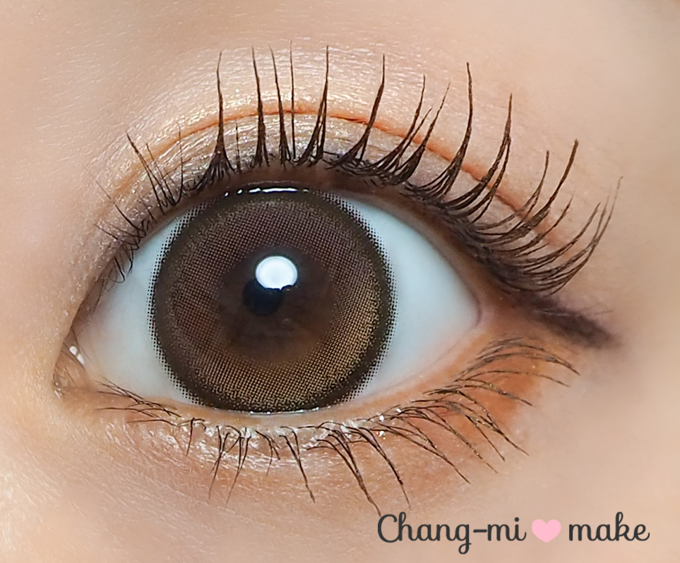 エクラブラウン8