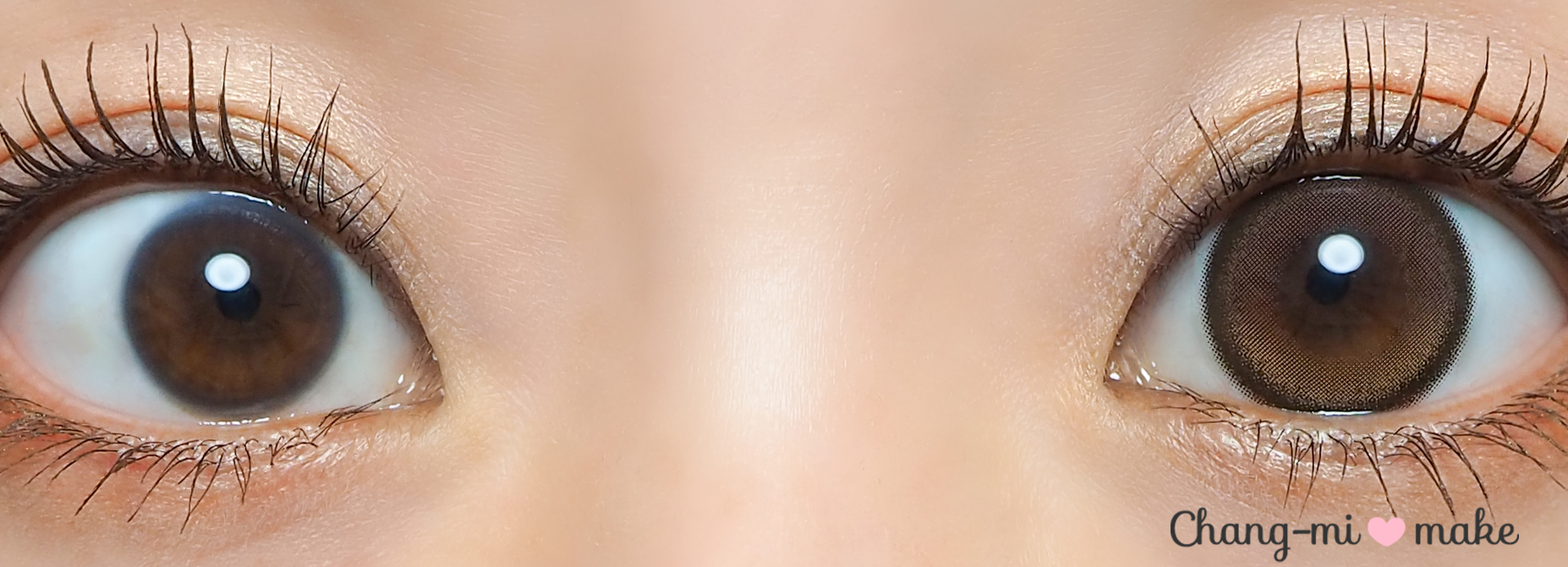 エクラブラウン12