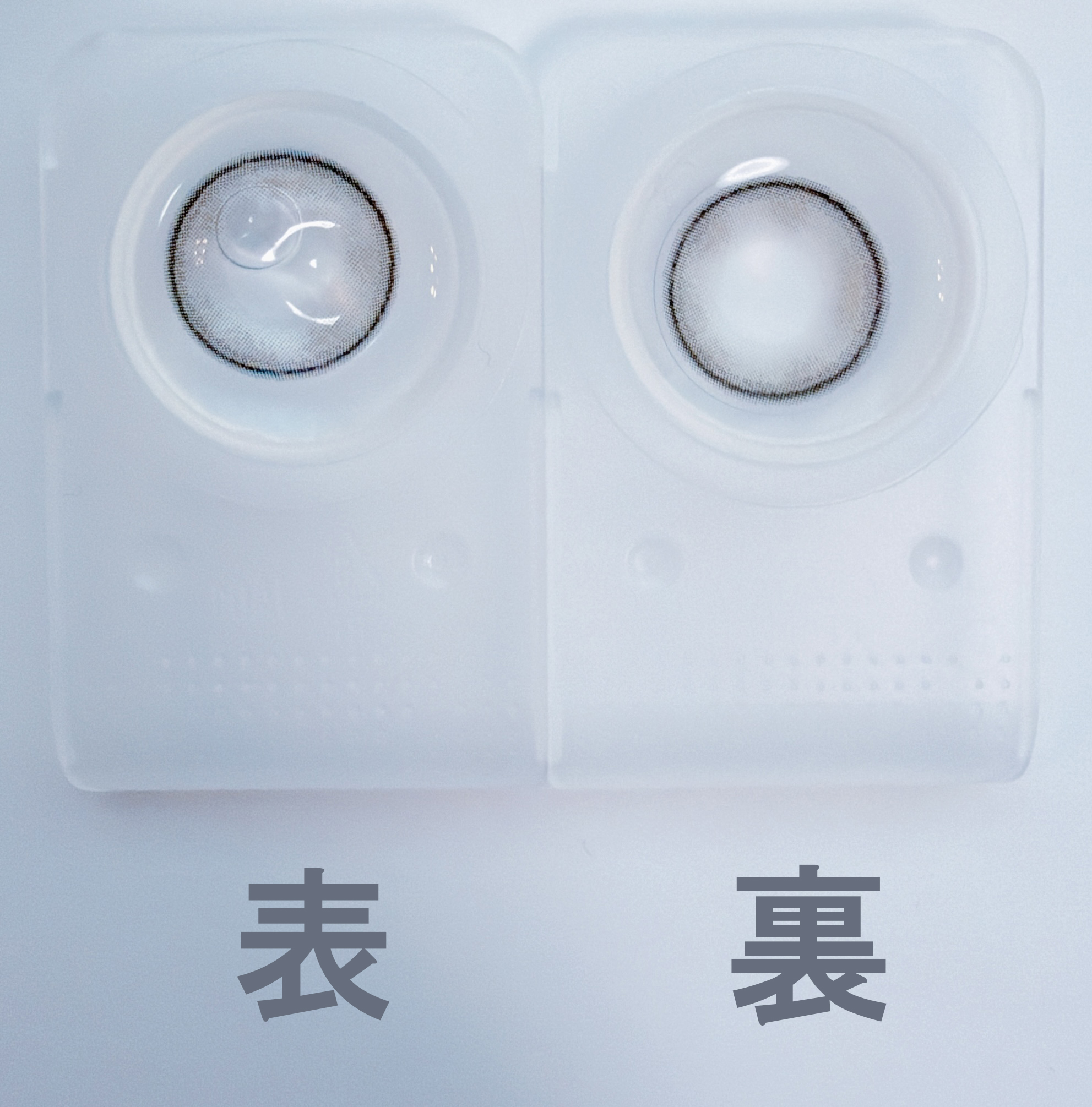 シュガーパール4