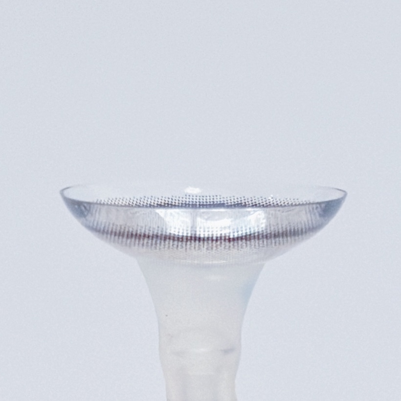 シュガーパール6