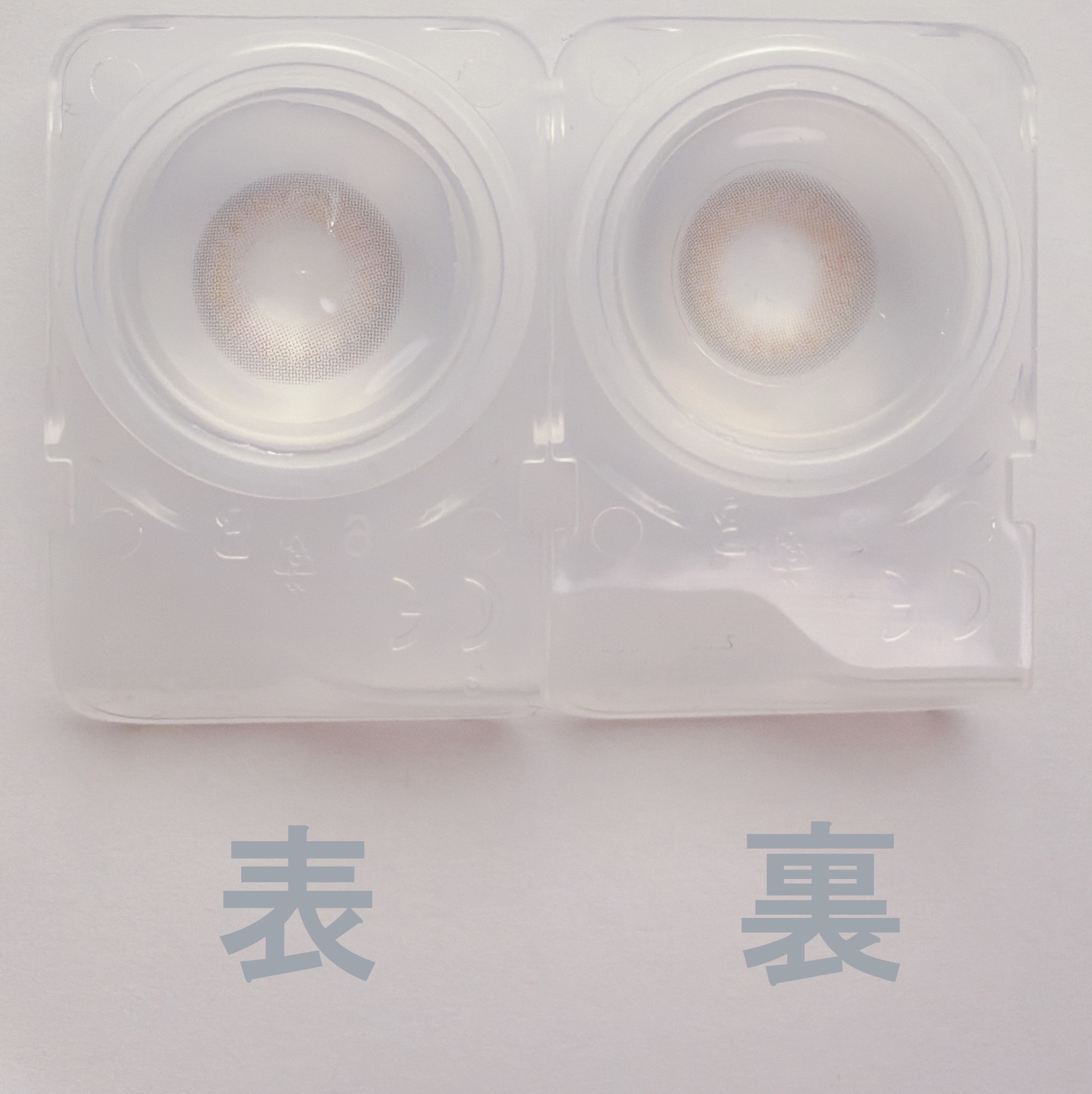 トワイライトリリー4