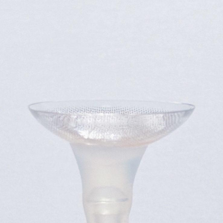 トワイライトリリー6