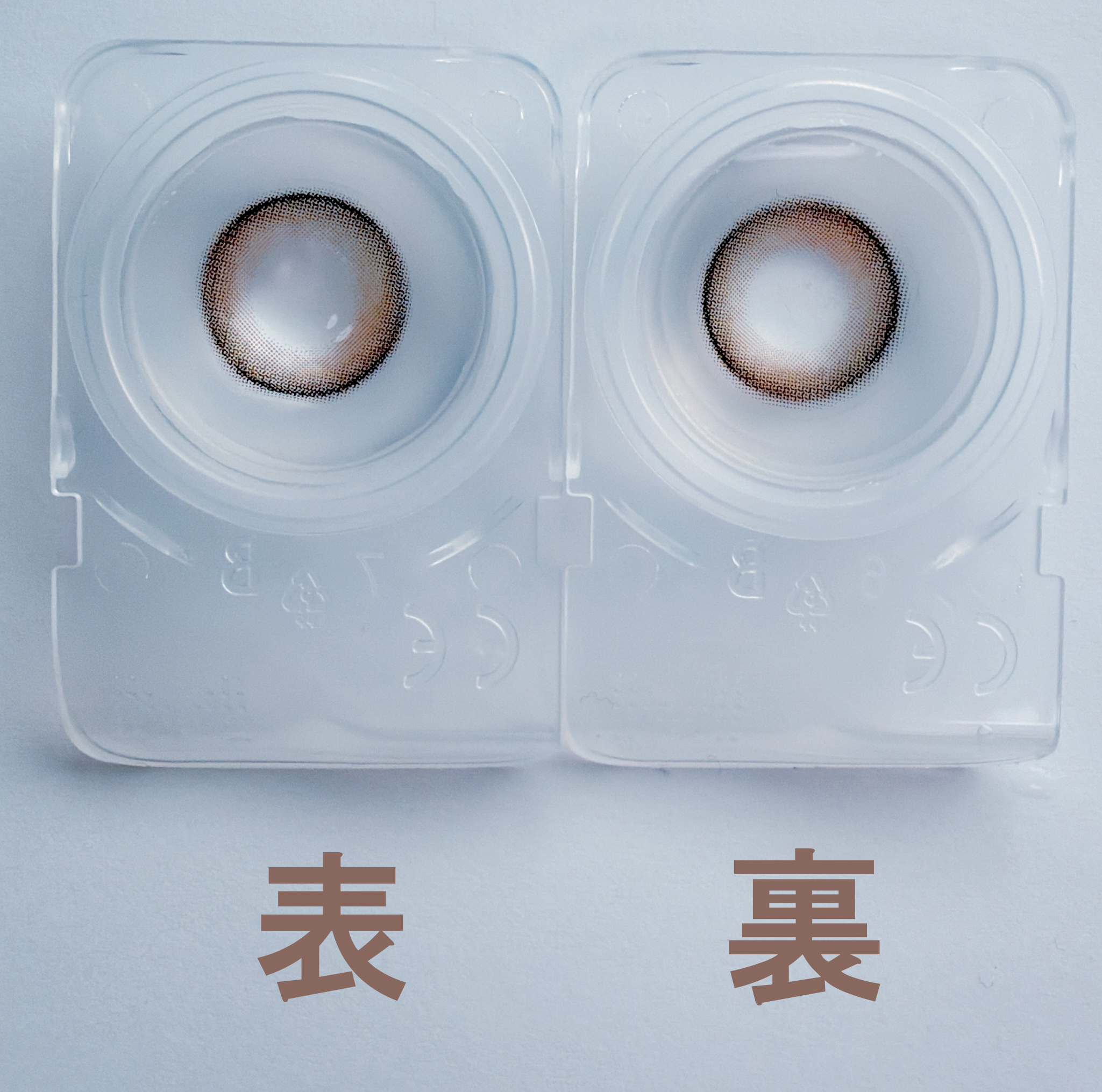 ジェンダーレスローズ4