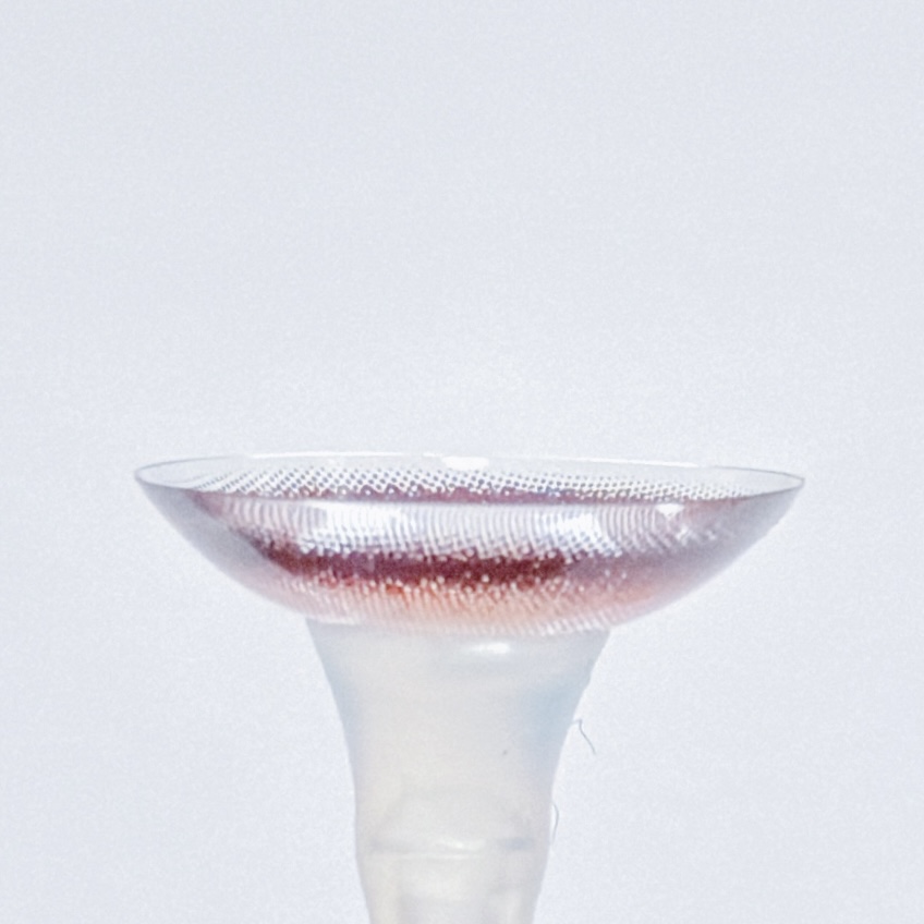 エクラブラウン6