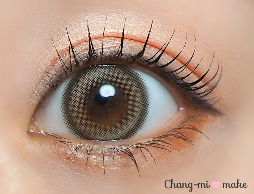 チャギベージュ8