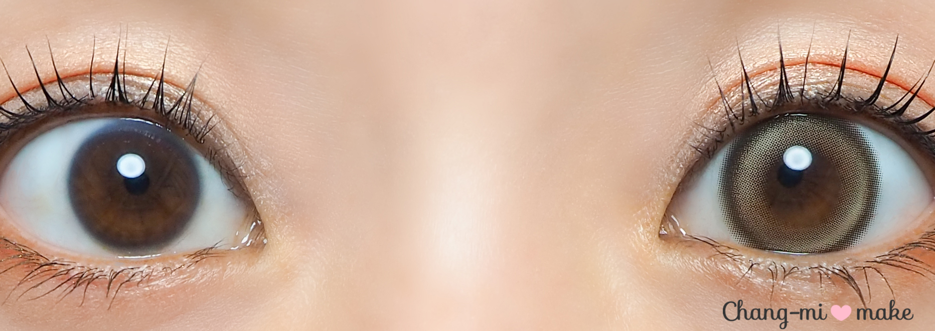 チャギベージュ12