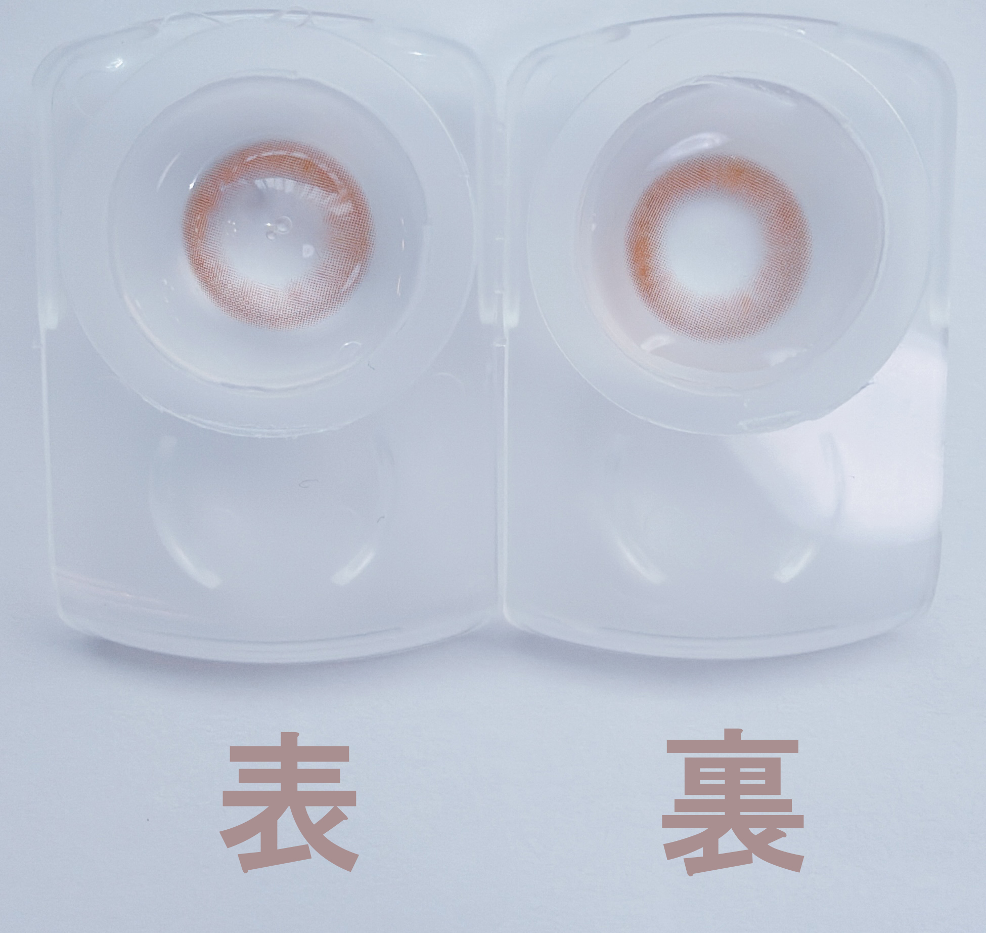 スモークドアッシュ4