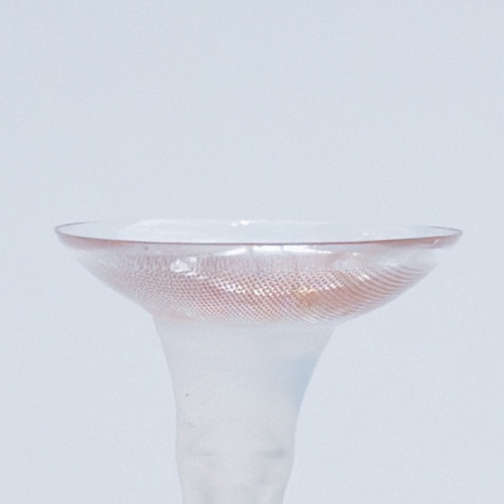 スモークドアッシュ6