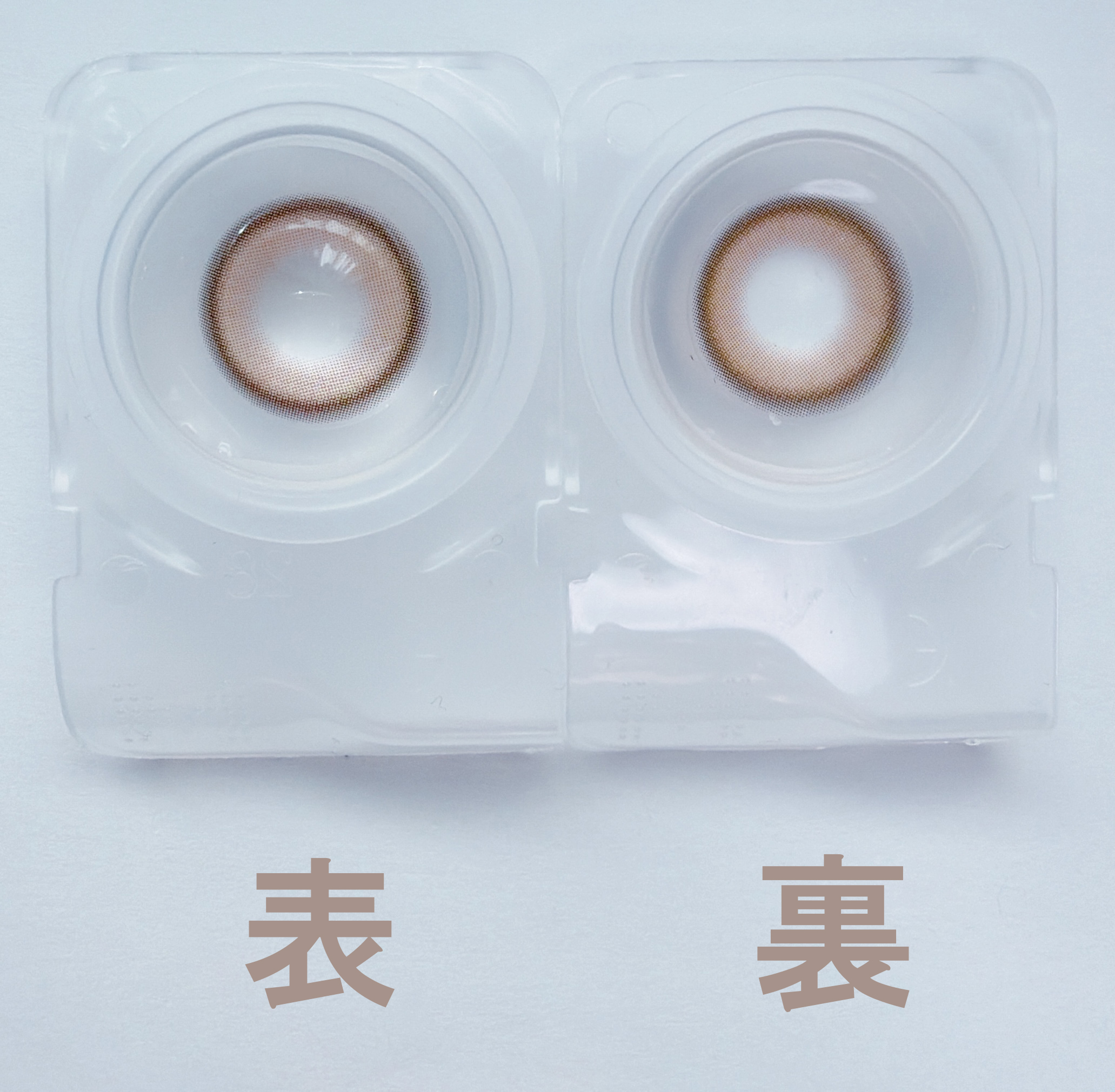 チャギベージュ4