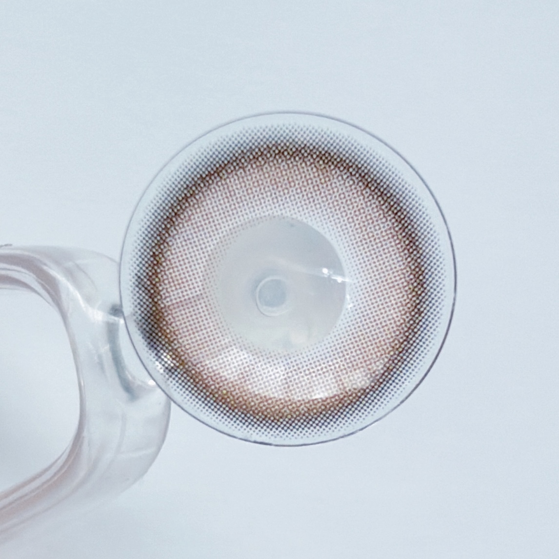 チャギベージュ5