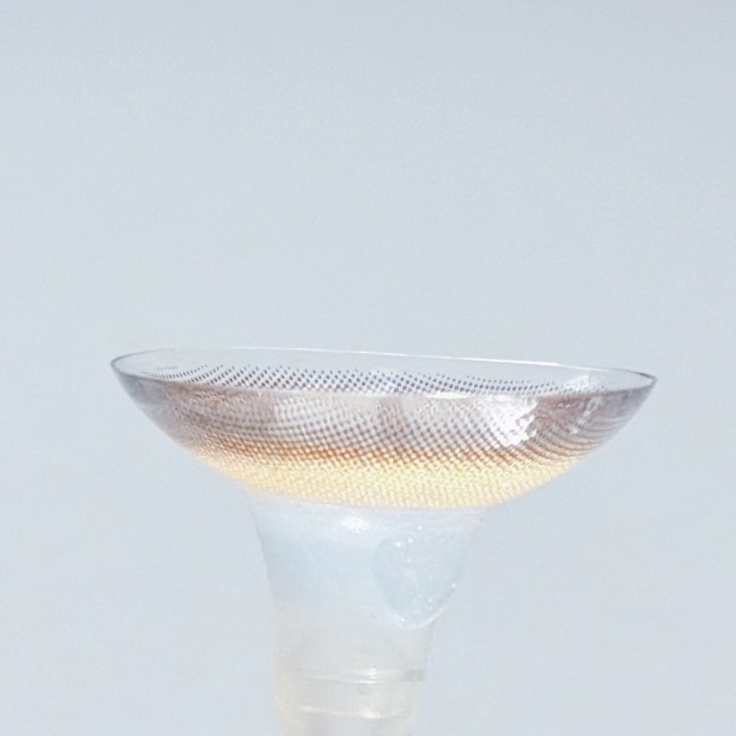 チャギベージュ6