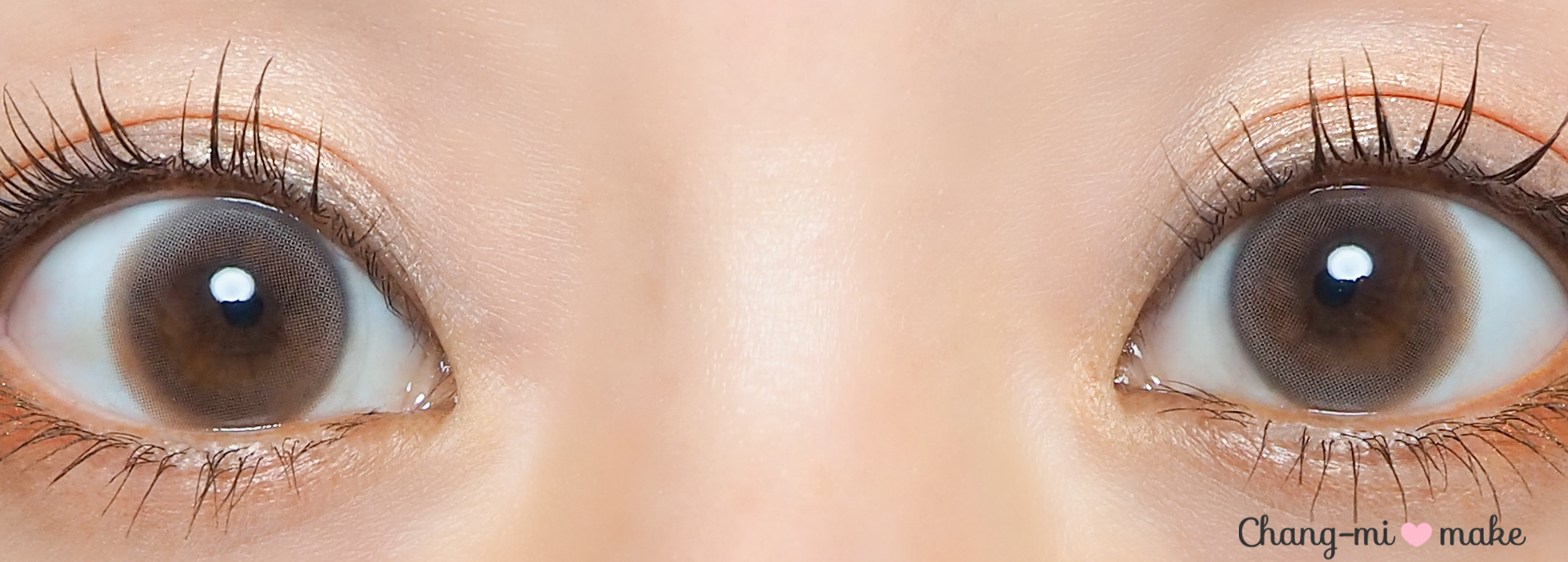 スモークドアッシュ13