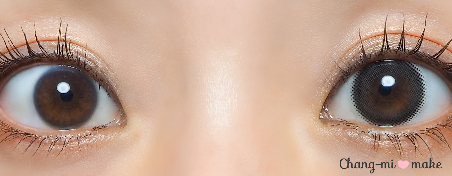 ブラックスワン12