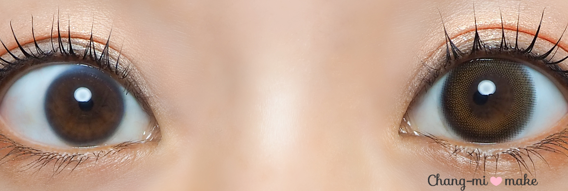 涙目ブラウン12