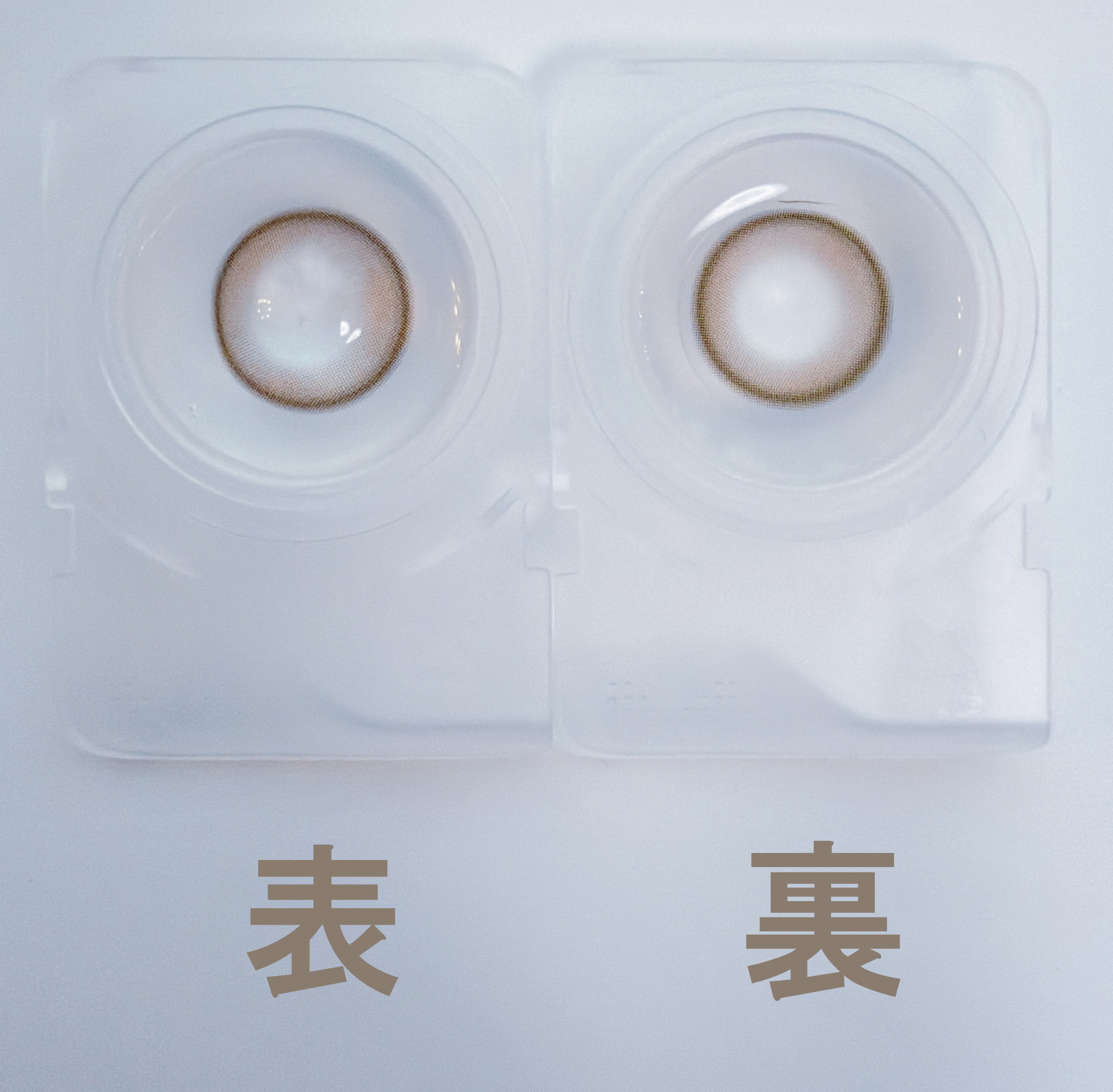 カフェラテローズ4