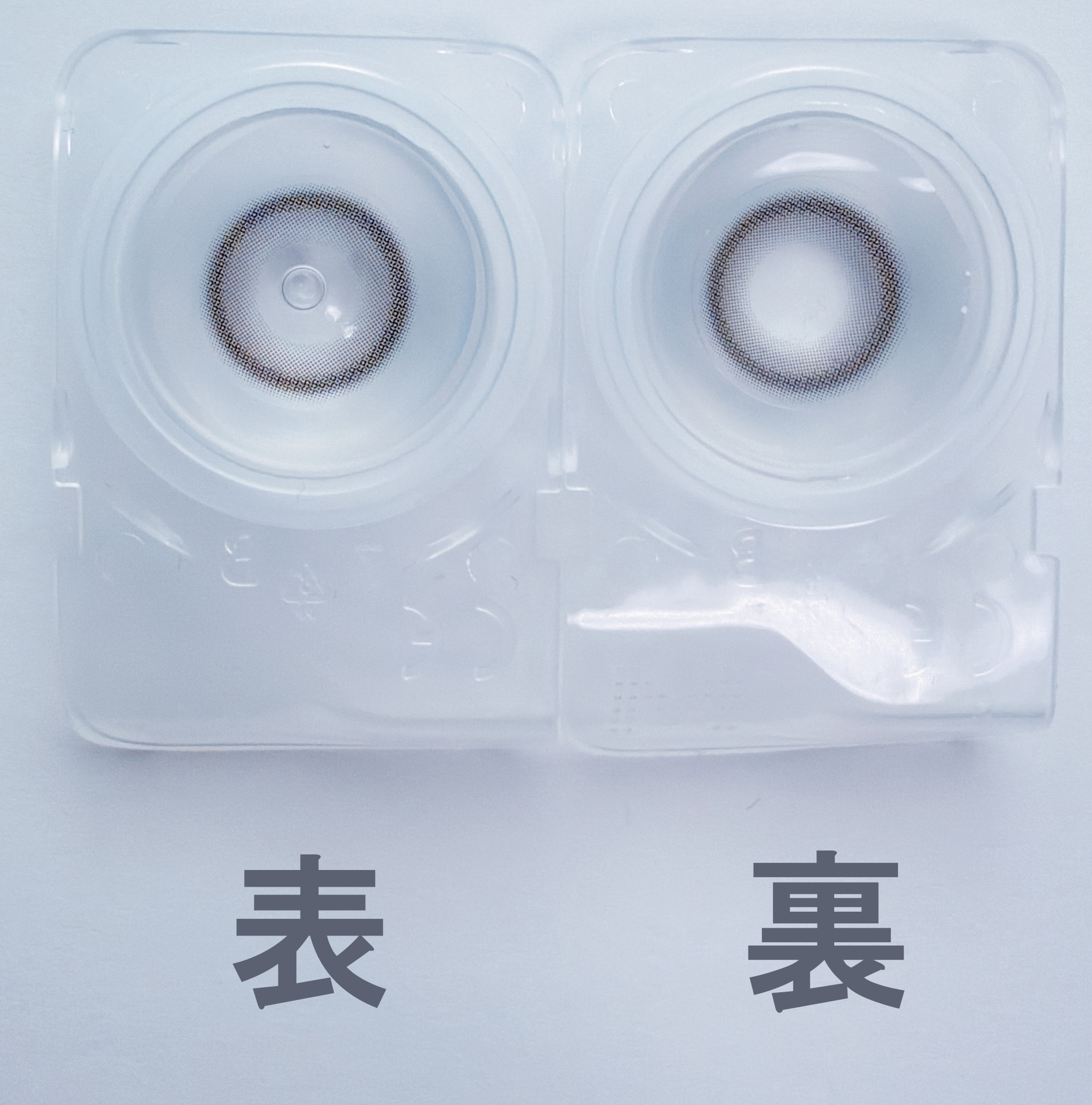 ブラックスワン4