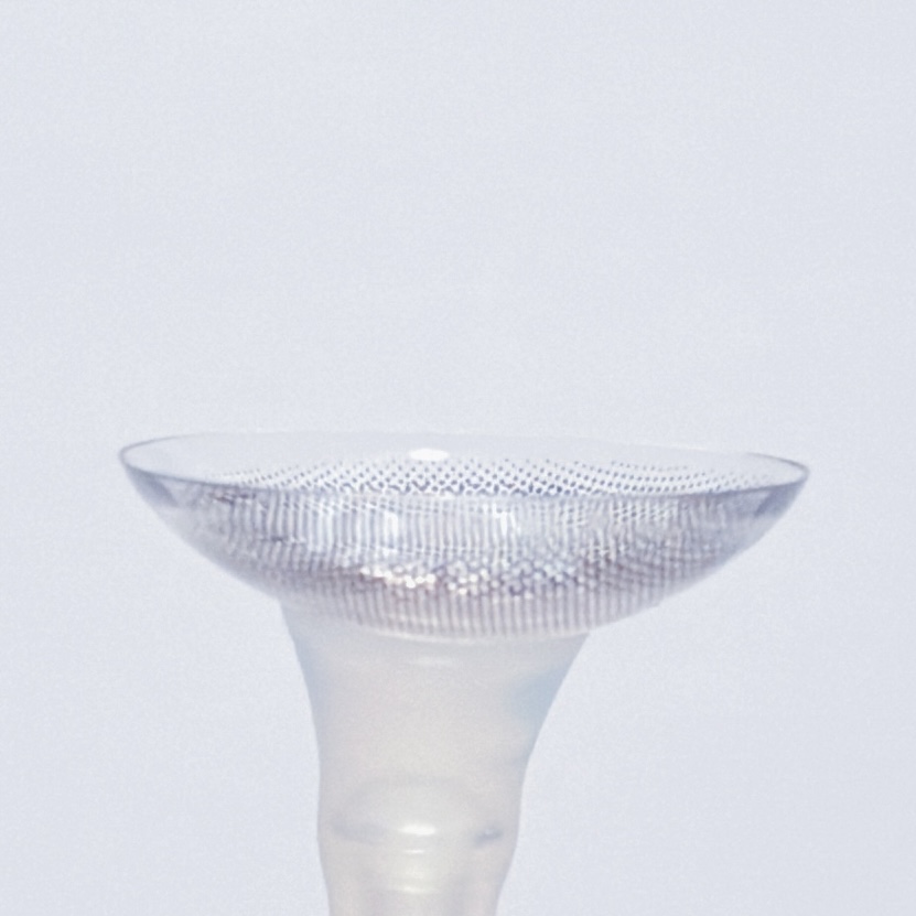 ブラックスワン6