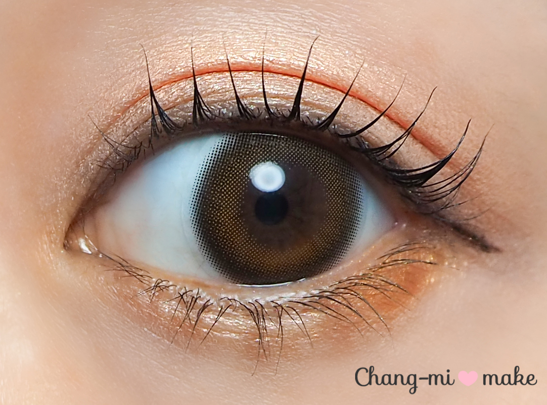 涙目ブラウン10