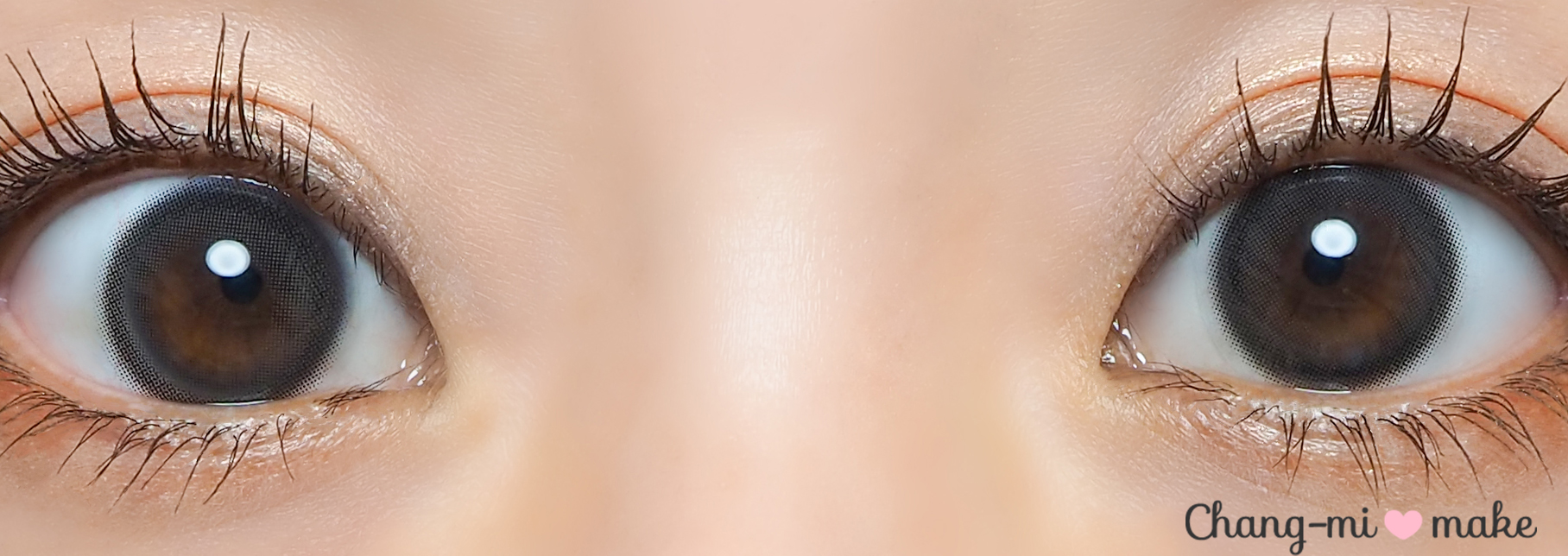 ブラックスワン13