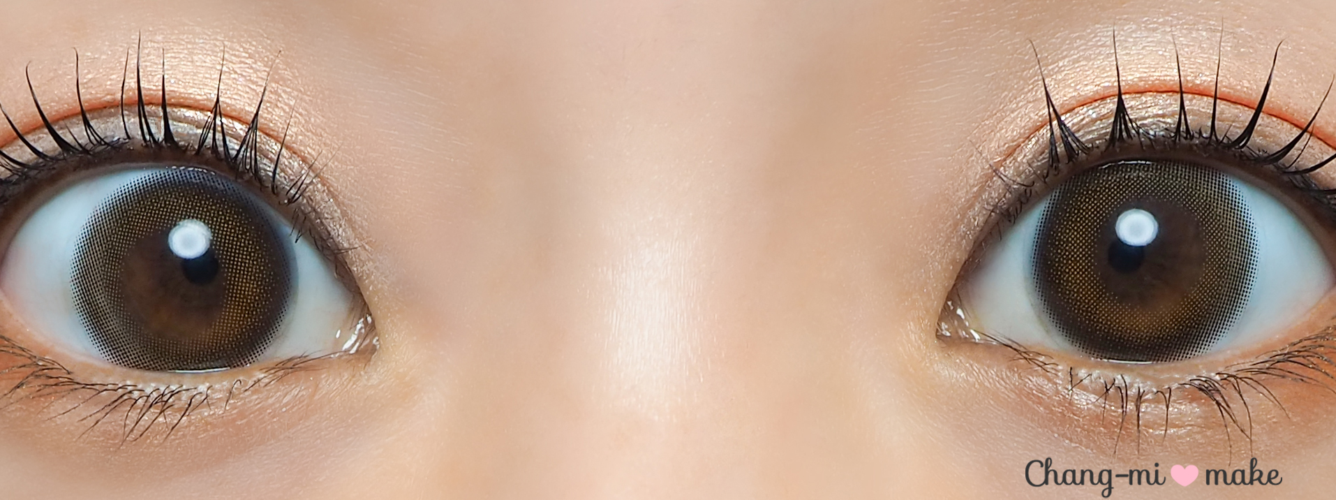 涙目ブラウン13