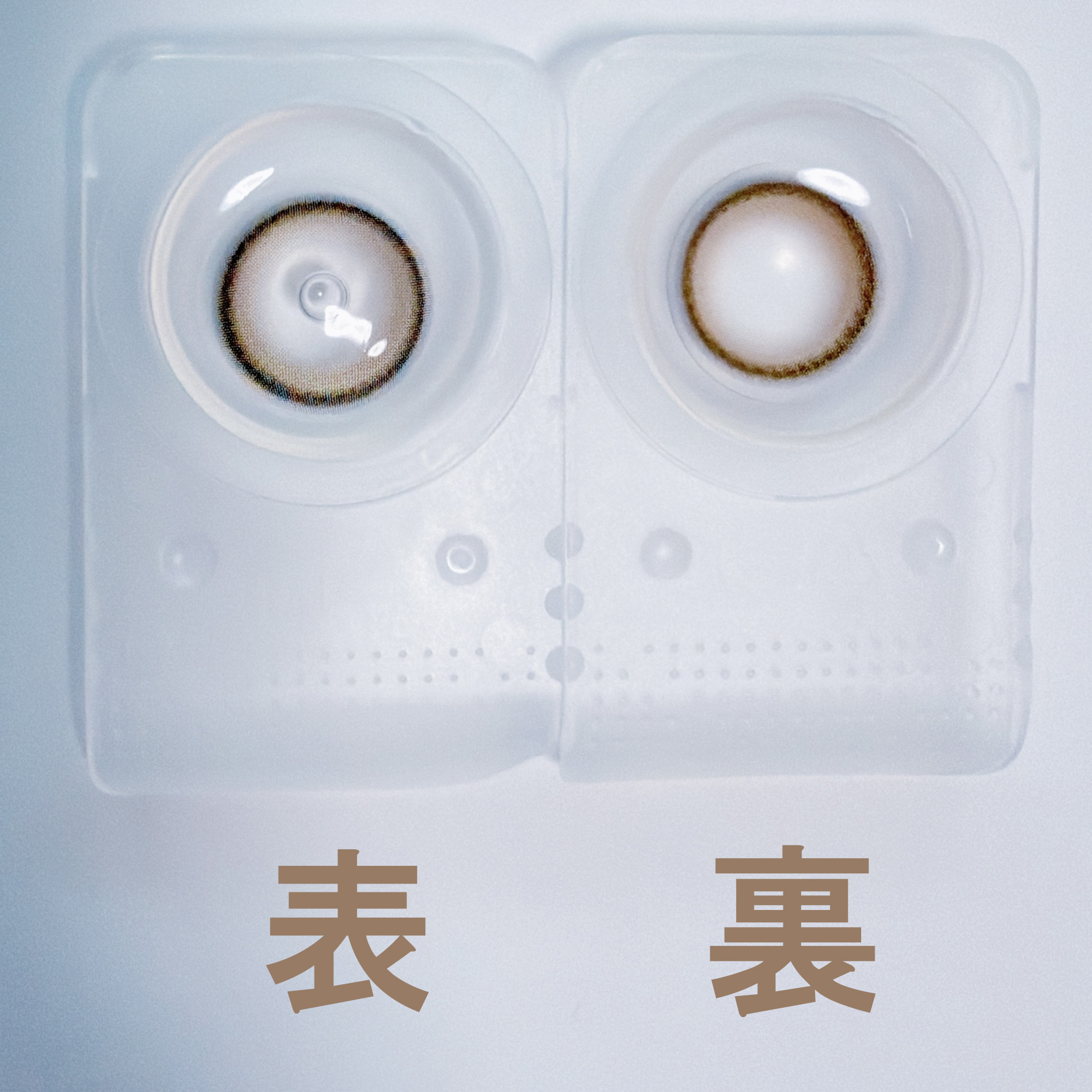 チェリッシュブラウン4