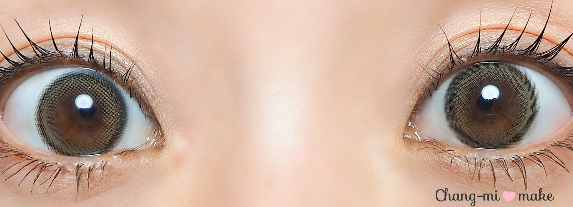 チェリッシュブラウン14